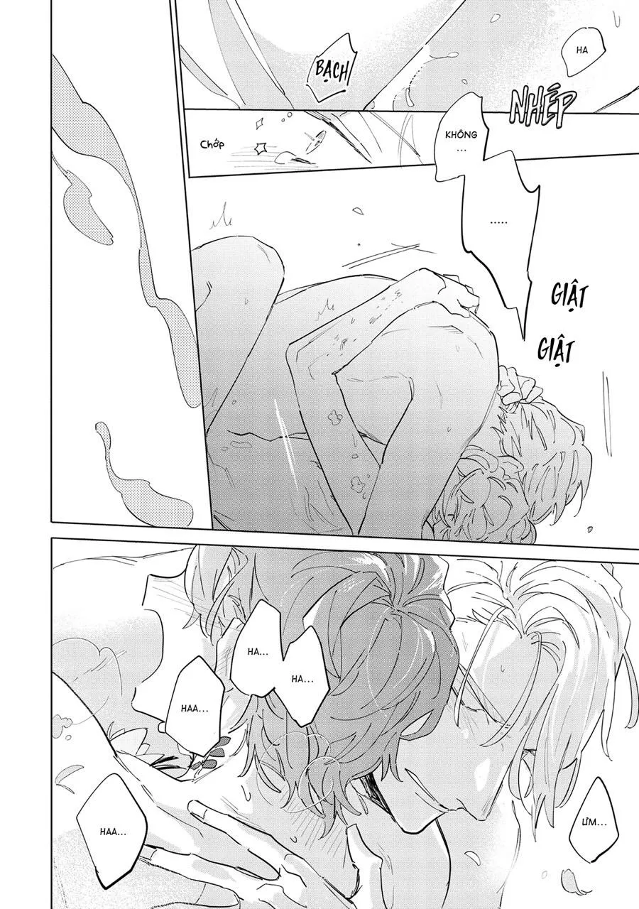 Nắng Phủ Cánh Hoa Lau HOÀN Chapter 5 Trang 28