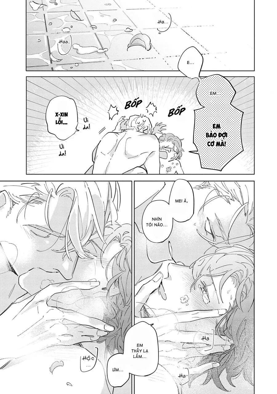 Nắng Phủ Cánh Hoa Lau HOÀN Chapter 5 Trang 29