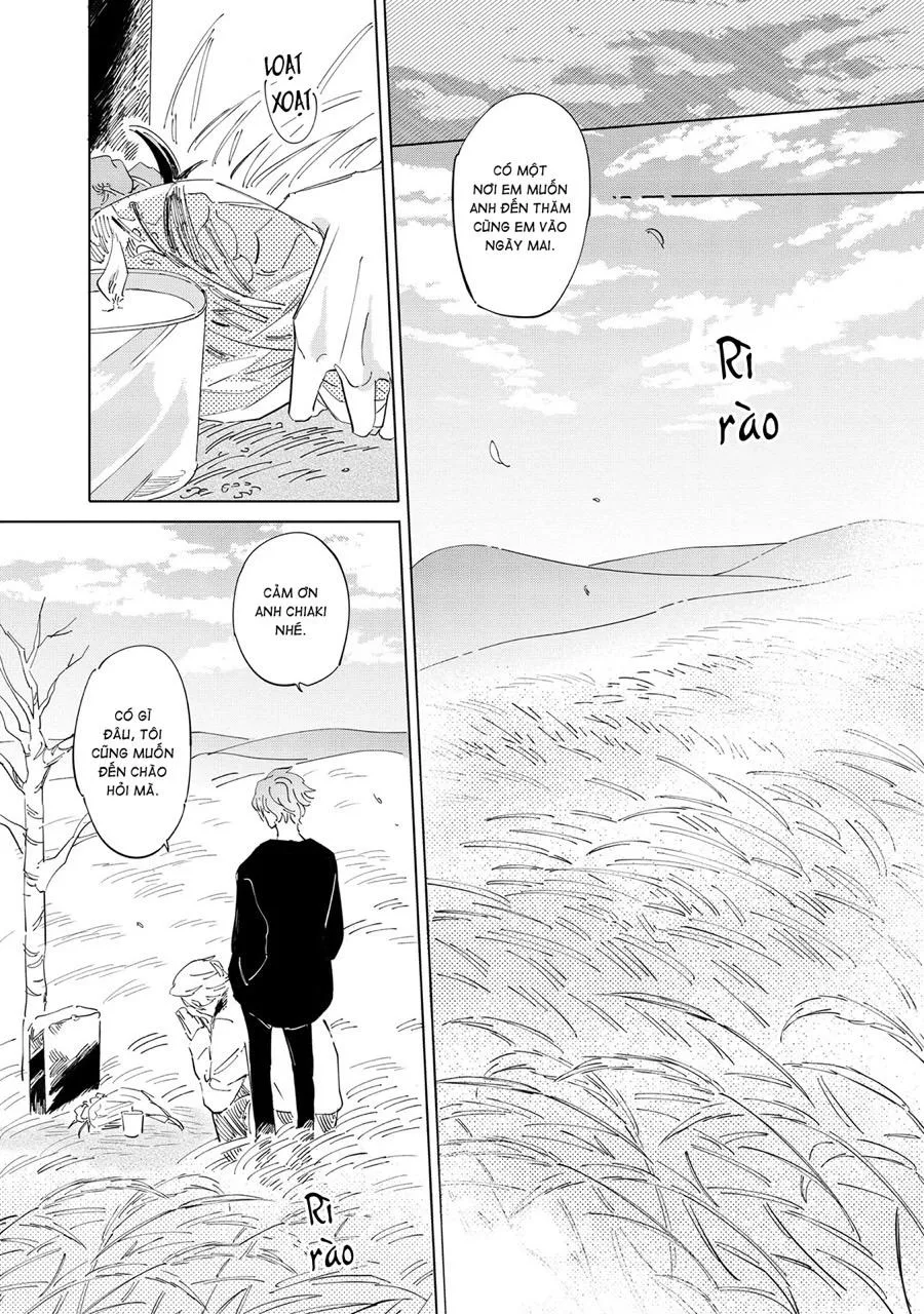 Nắng Phủ Cánh Hoa Lau HOÀN Chapter 5 Trang 33