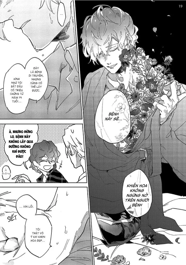 Nắng Phủ Cánh Hoa Lau HOÀN Chapter 1 Trang 19