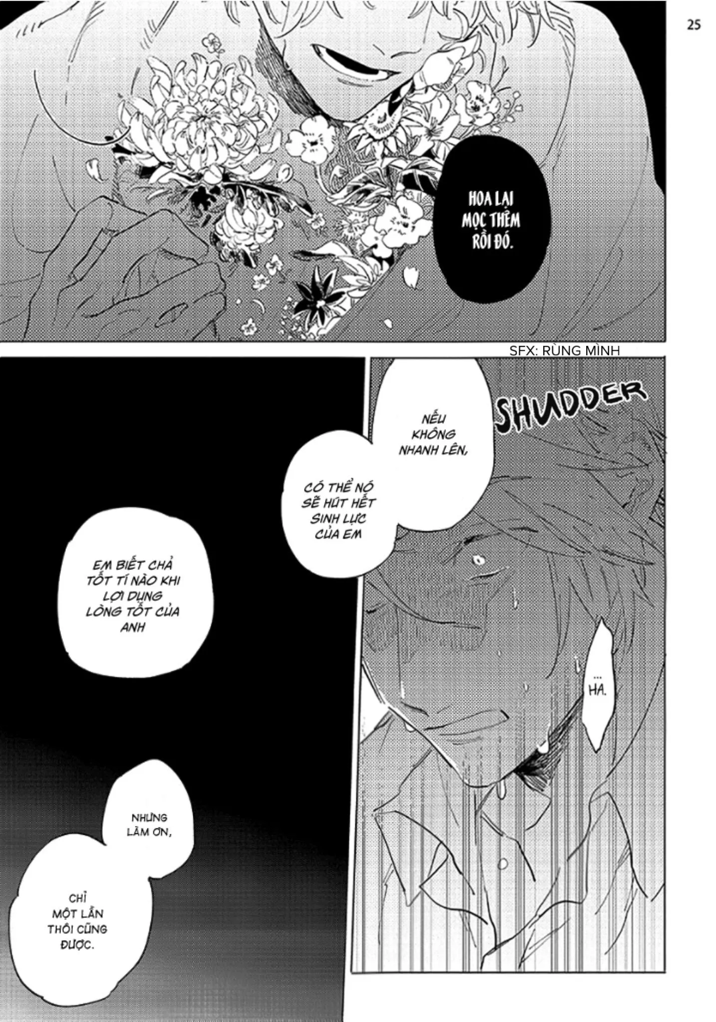 Nắng Phủ Cánh Hoa Lau HOÀN Chapter 1 Trang 24