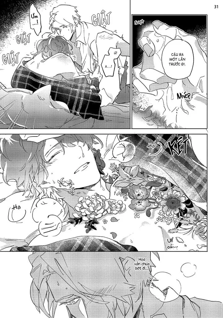 Nắng Phủ Cánh Hoa Lau HOÀN Chapter 1 Trang 30