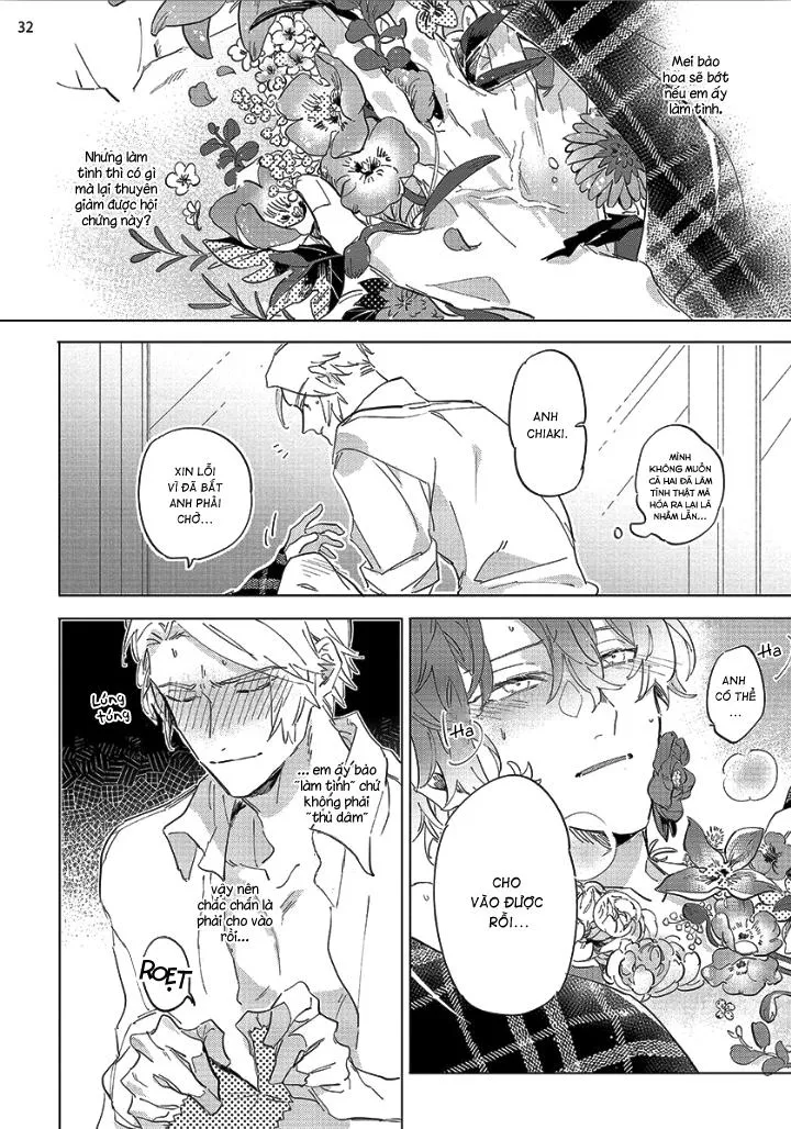 Nắng Phủ Cánh Hoa Lau HOÀN Chapter 1 Trang 31
