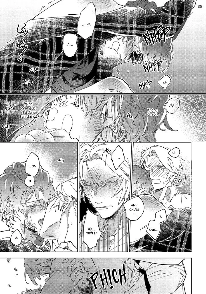 Nắng Phủ Cánh Hoa Lau HOÀN Chapter 1 Trang 34