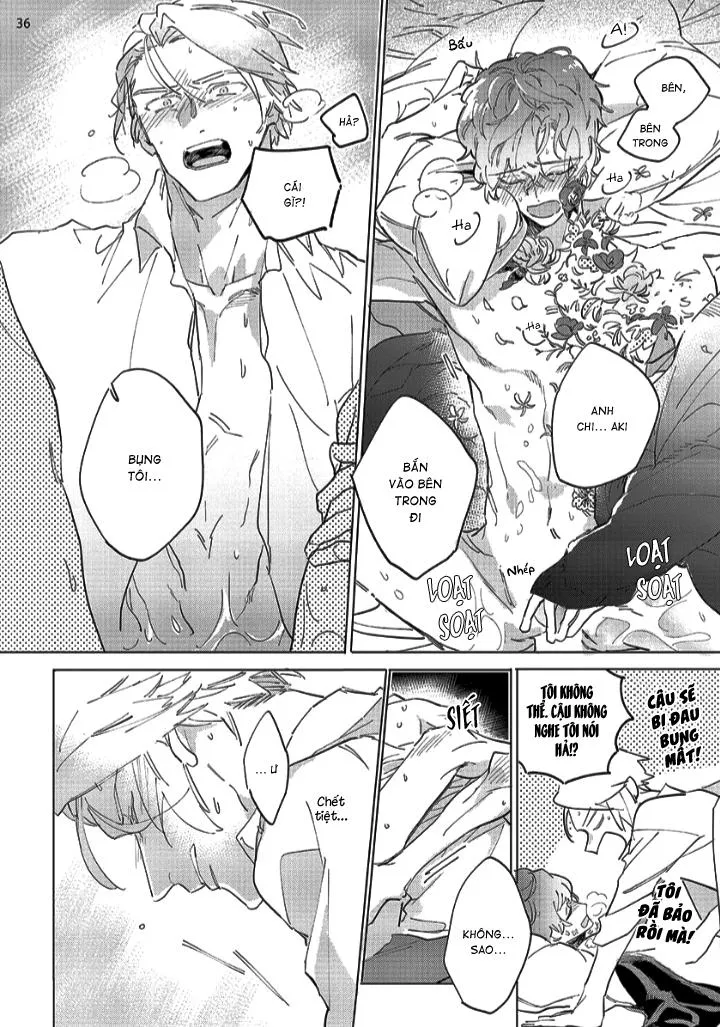 Nắng Phủ Cánh Hoa Lau HOÀN Chapter 1 Trang 35