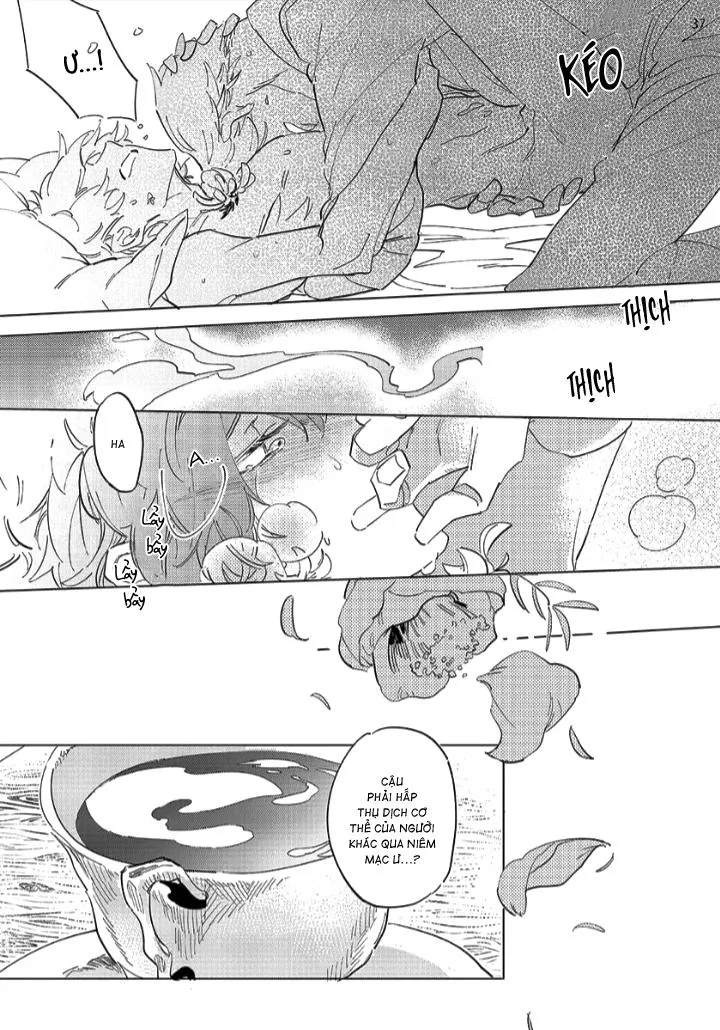 Nắng Phủ Cánh Hoa Lau HOÀN Chapter 1 Trang 36