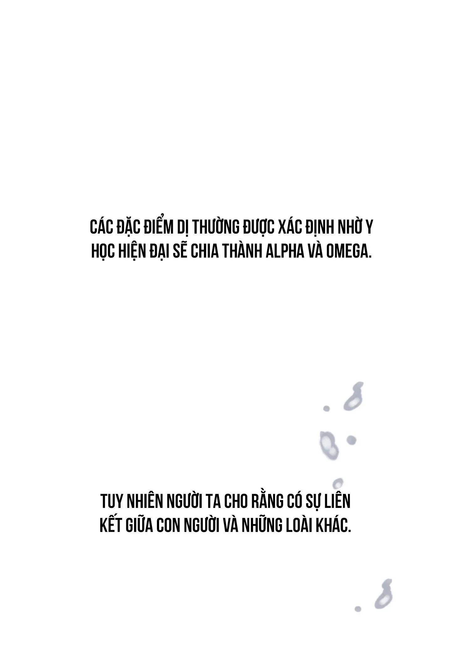 Golden Pair Chapter 8 Trang 41