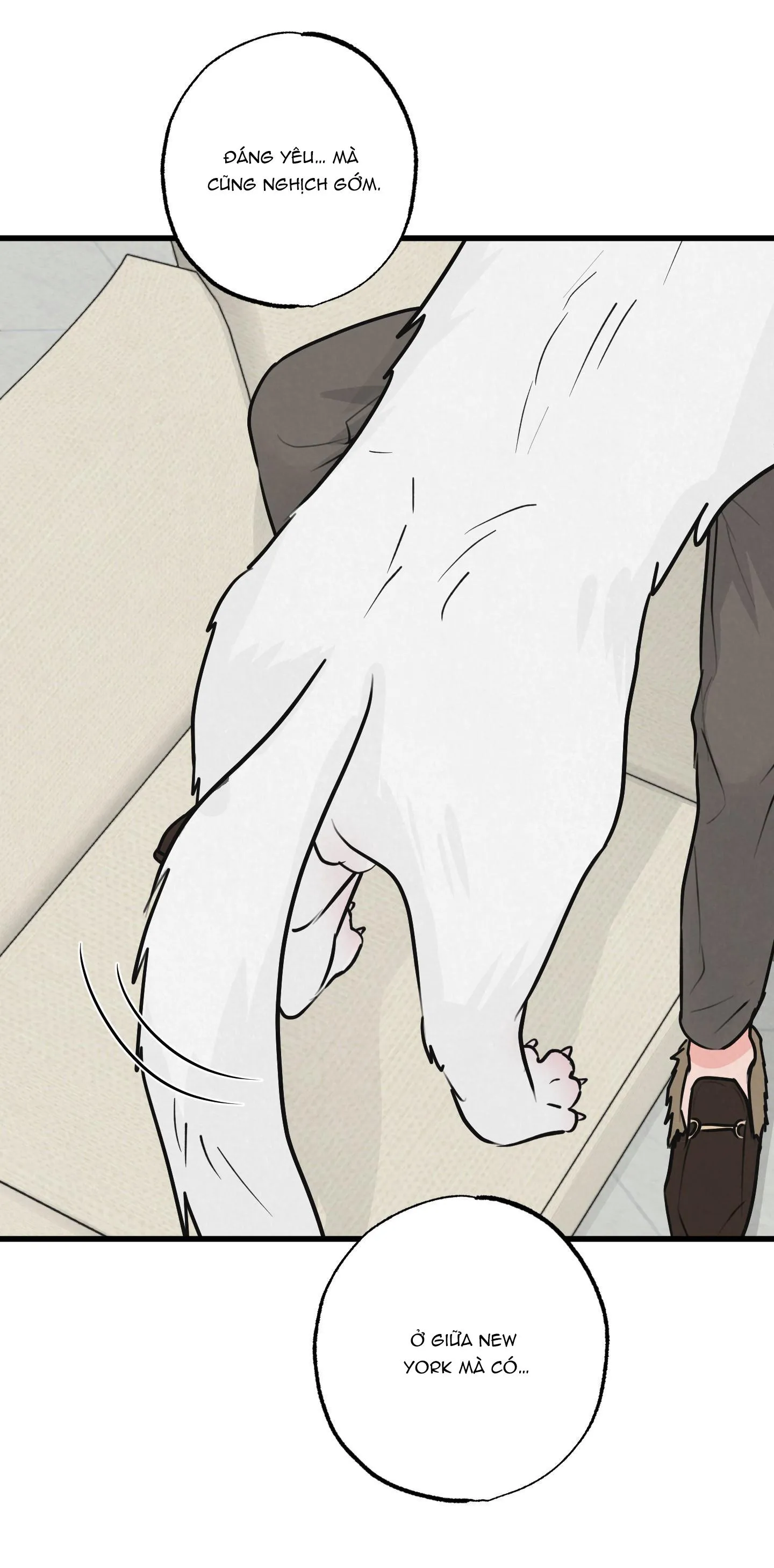 Golden Pair Chapter 8 Trang 52