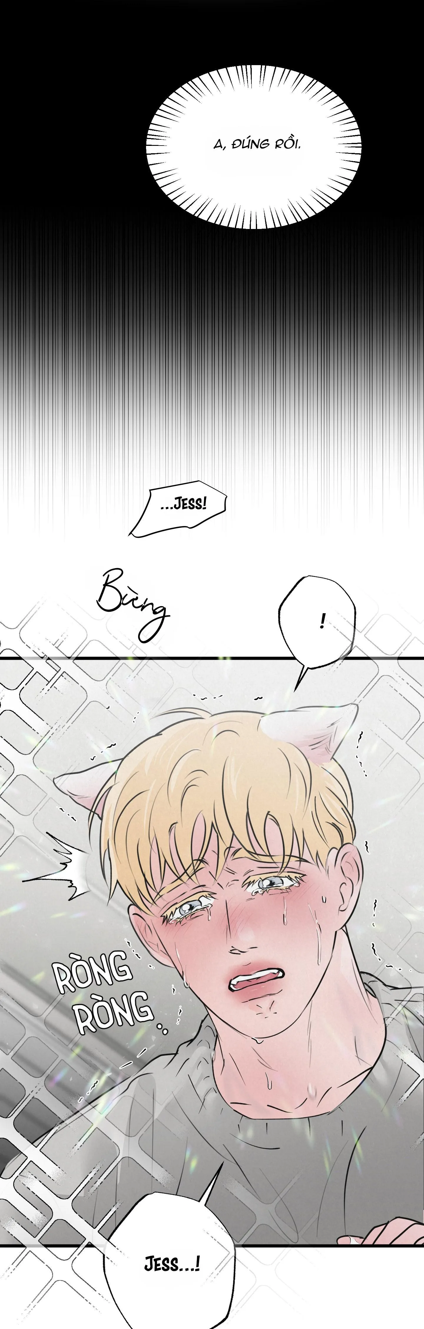 Golden Pair Chapter 15 Trang 3