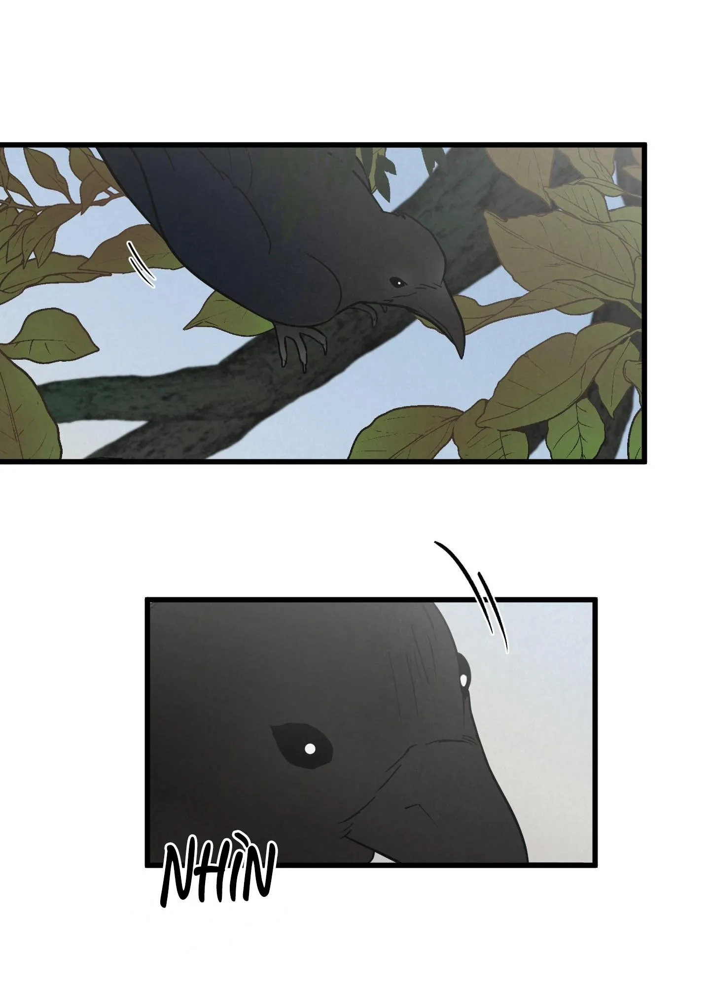 Golden Pair Chapter 1 Trang 11