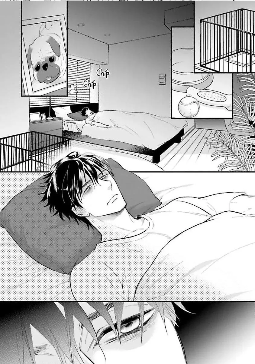 Hai chàng độc thân nóng bỏng Chapter 1 Trang 18