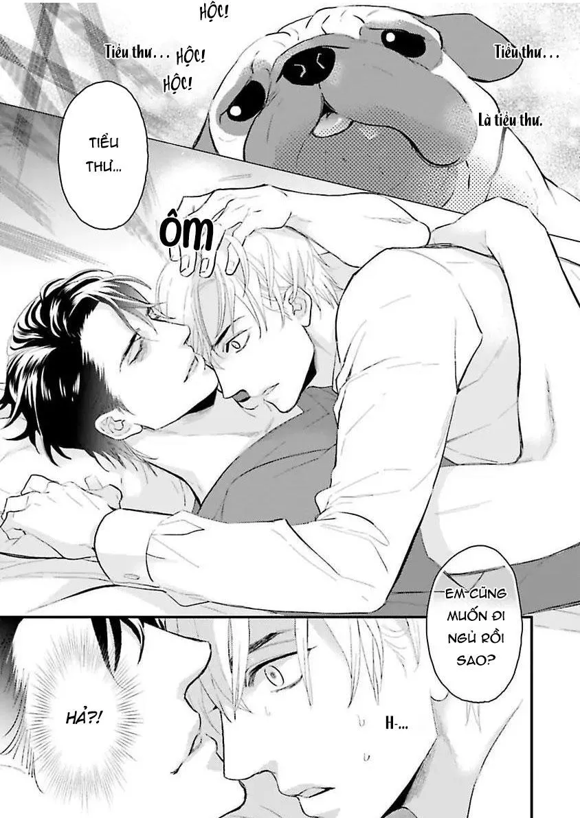 Hai chàng độc thân nóng bỏng Chapter 1 Trang 25