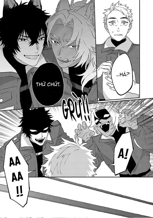 Hai Chú Chó Rắc Rối Chapter 2 Trang 17