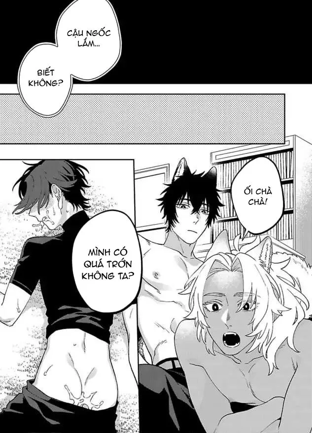 Hai Chú Chó Rắc Rối Chapter 2 Trang 31