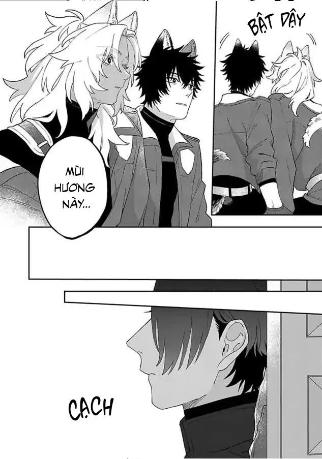 Hai Chú Chó Rắc Rối Chapter 3 Trang 13