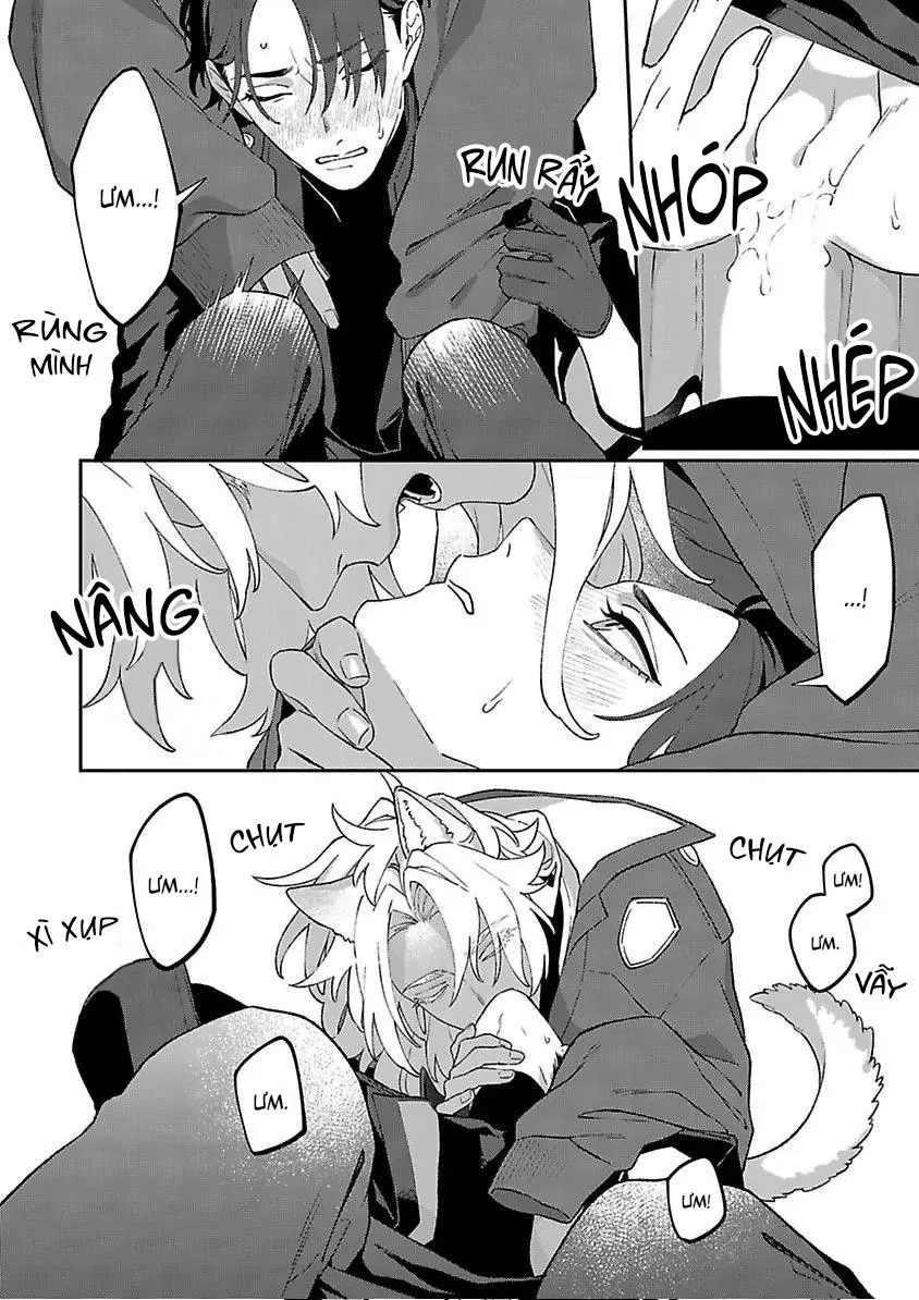 Hai Chú Chó Rắc Rối Chapter 4 Trang 11