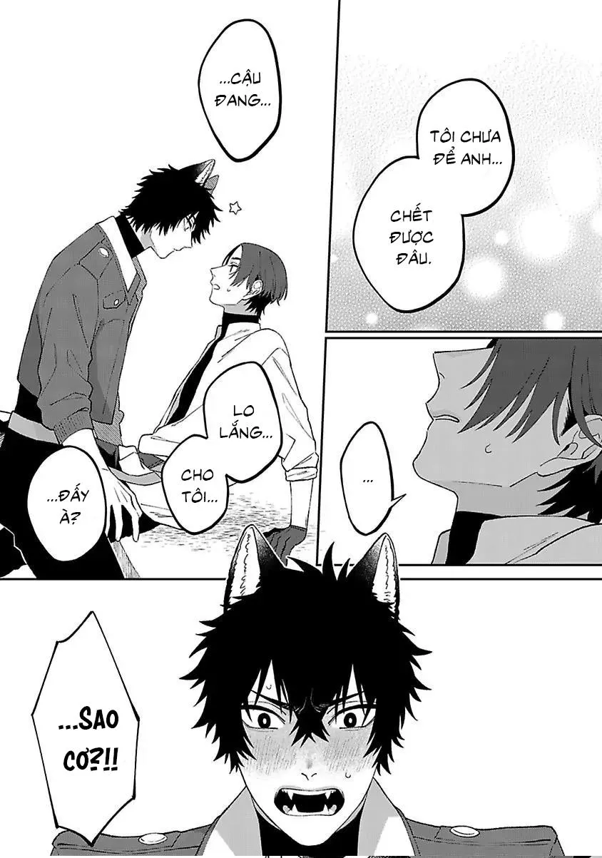 Hai Chú Chó Rắc Rối Chapter 4 Trang 26