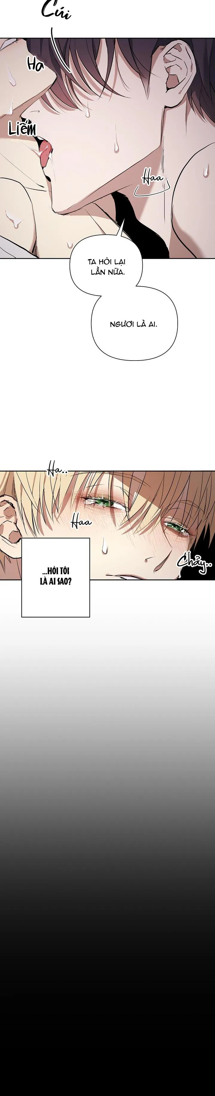 HAI ĐẤT NƯỚC, ĐẤT NƯỚC CỦA NÔ LỆ Chapter 1 Trang 9