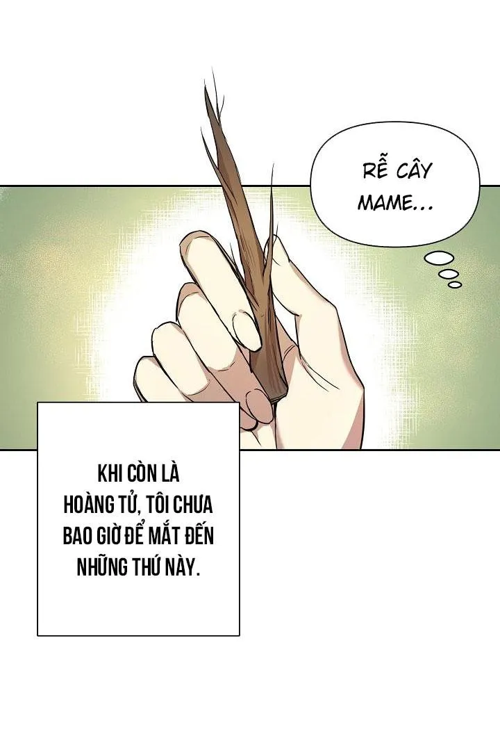 Hai Đế Quốc, Đế Quốc Của Nô Lệ Chapter 2 Trang 20