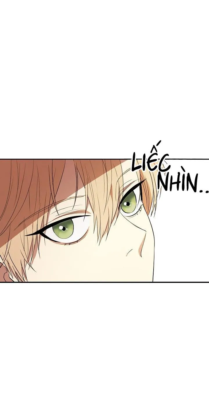 Hai Đế Quốc, Đế Quốc Của Nô Lệ Chapter 4 Trang 27