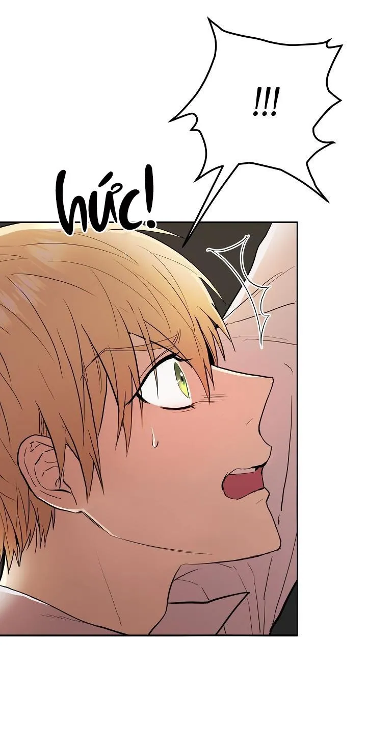 Hai Đế Quốc, Đế Quốc Của Nô Lệ Chapter 4 Trang 42