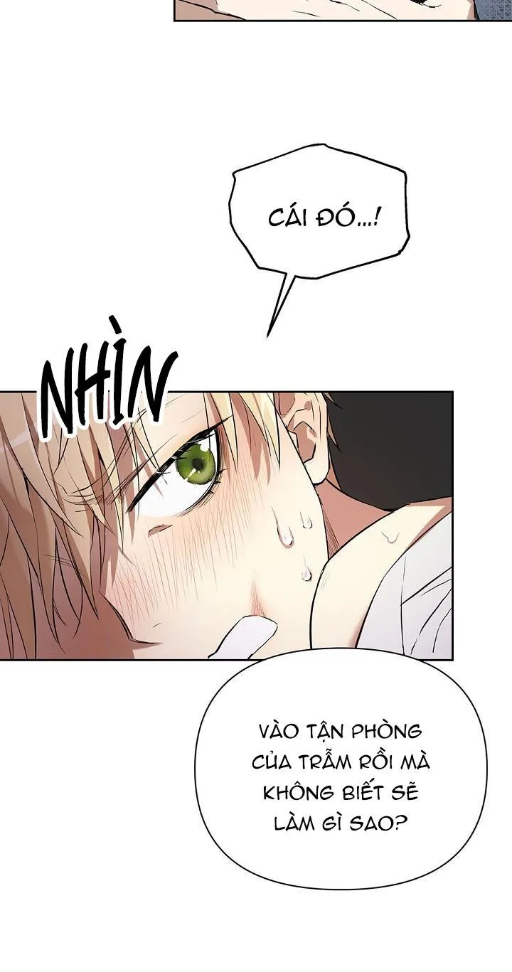 Hai Đế Quốc, Đế Quốc Của Nô Lệ Chapter 1 Trang 9