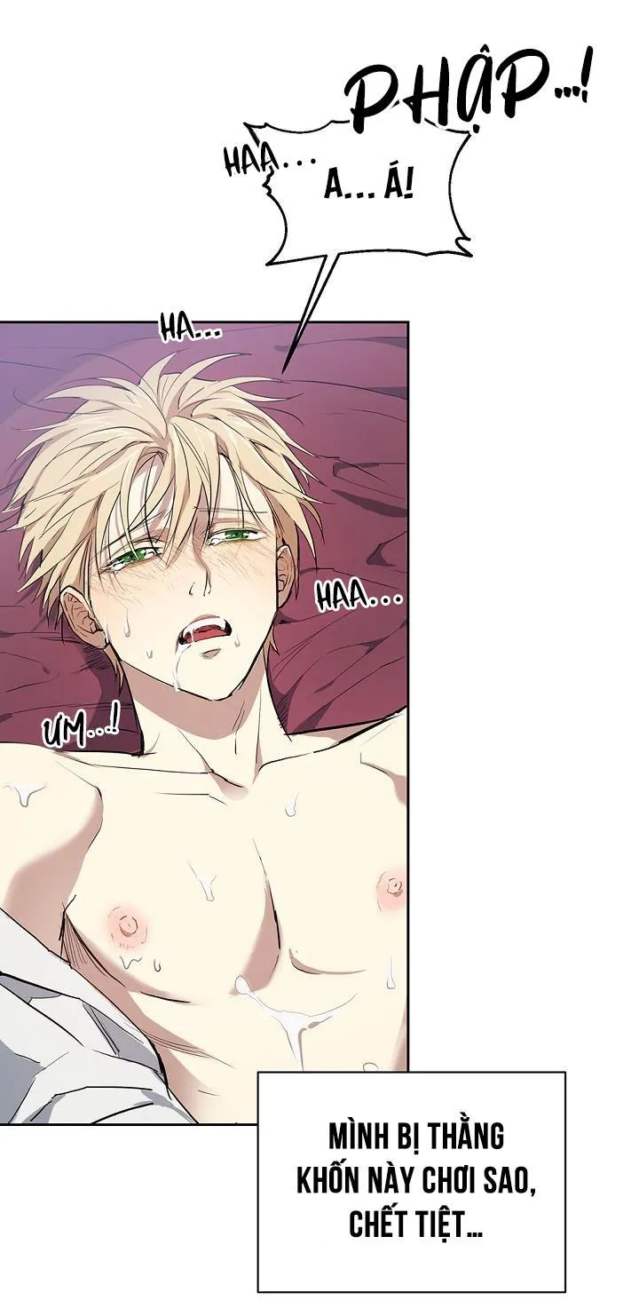 Hai Đế Quốc, Đế Quốc Của Nô Lệ Chapter 1 Trang 21