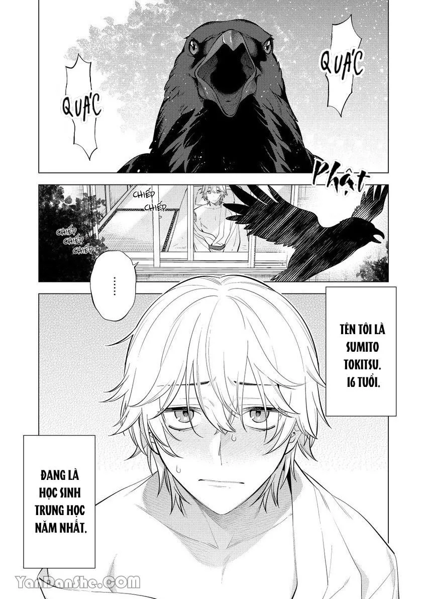 Hắn gọi tôi mỗi tối Chapter 1 Trang 5