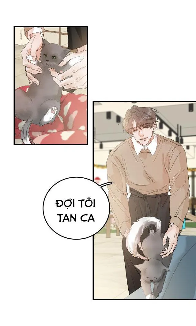 Hàn Mạch Tựa Quang Chapter 12 Trang 41