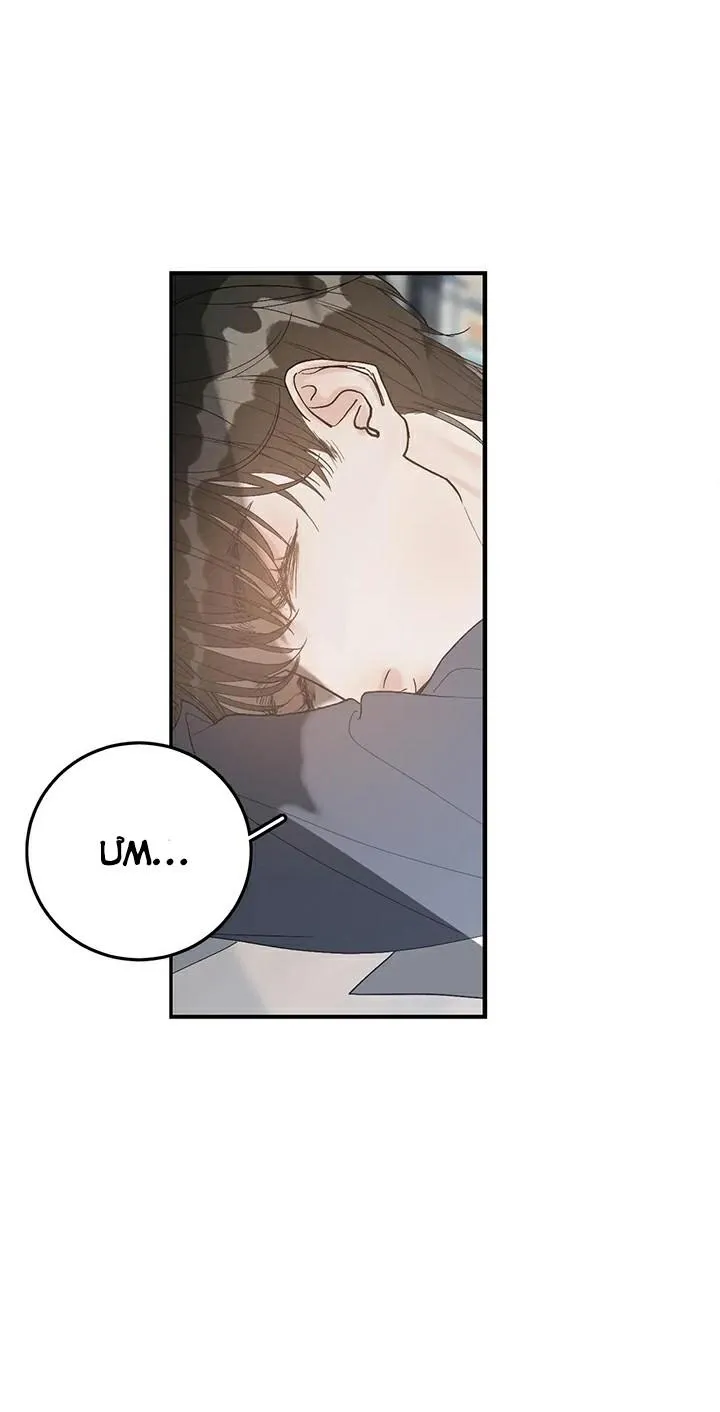 Hàn Mạch Tựa Quang Chapter 21 Trang 20