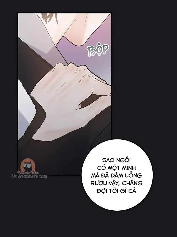 Hàn Mạch Tựa Quang Chapter 22 Trang 16