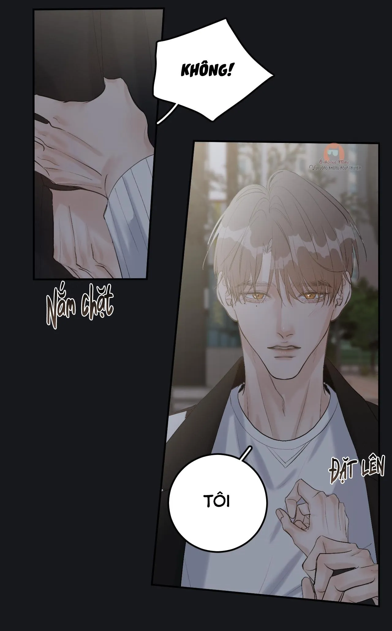 Hàn Mạch Tựa Quang Chapter 23 Trang 12