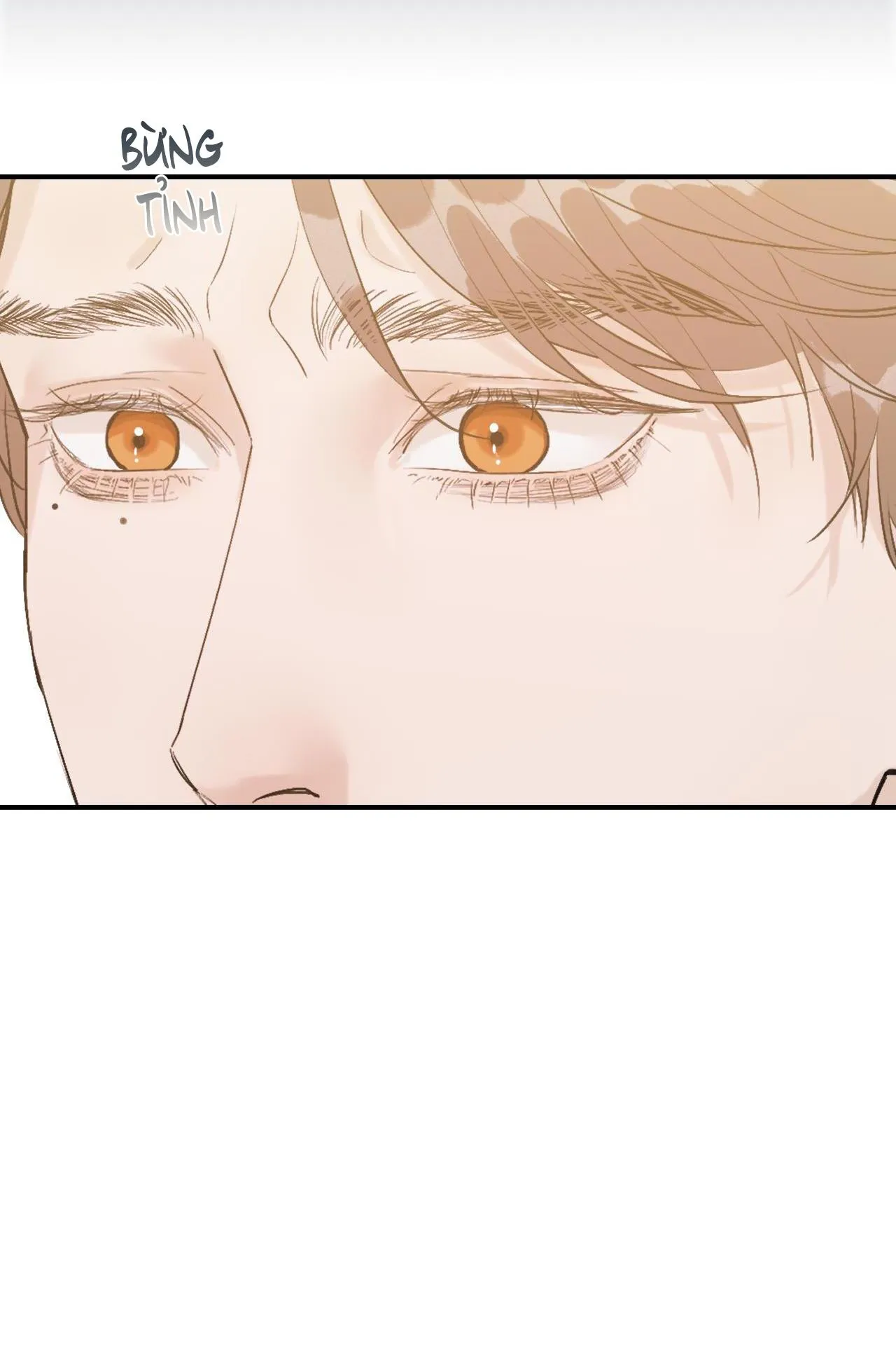 Hàn Mạch Tựa Quang Chapter 24 Trang 7