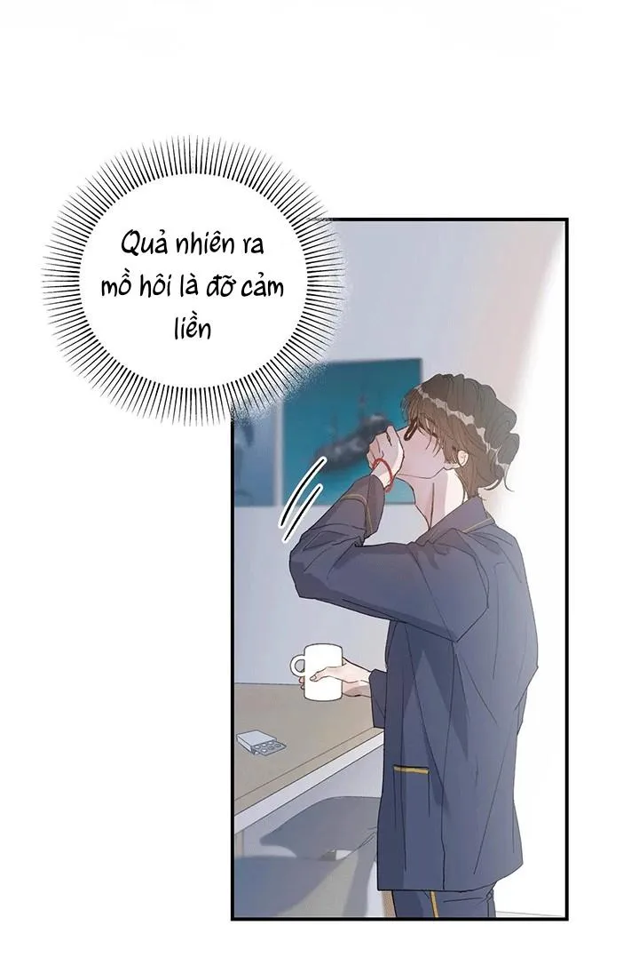 Hàn Mạch Tựa Quang Chapter 28 Trang 11