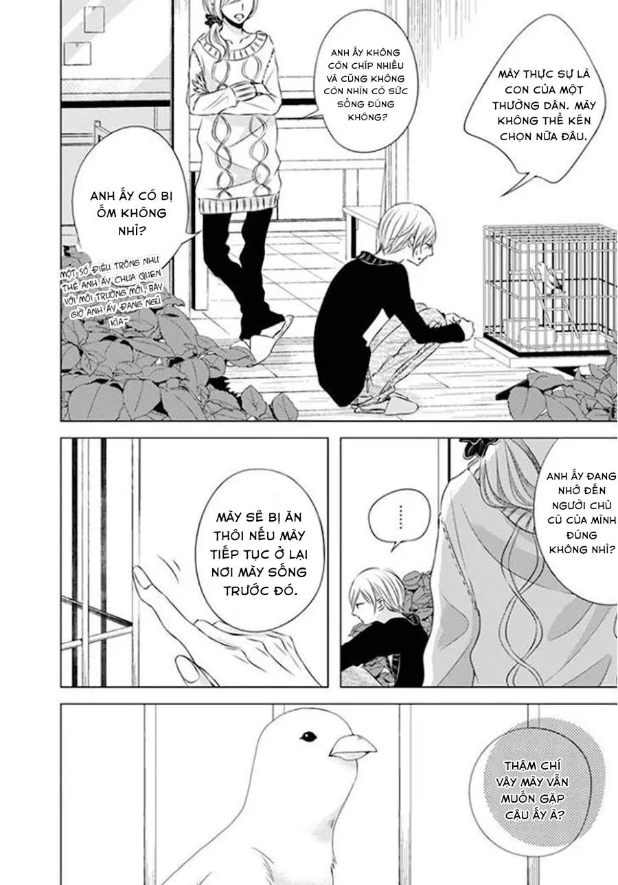 Hana to Junketsu Chapter 4 Trang 7