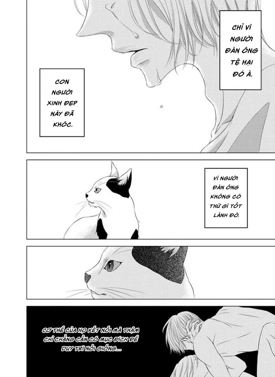 Hana to Junketsu Chapter 5 Trang 21