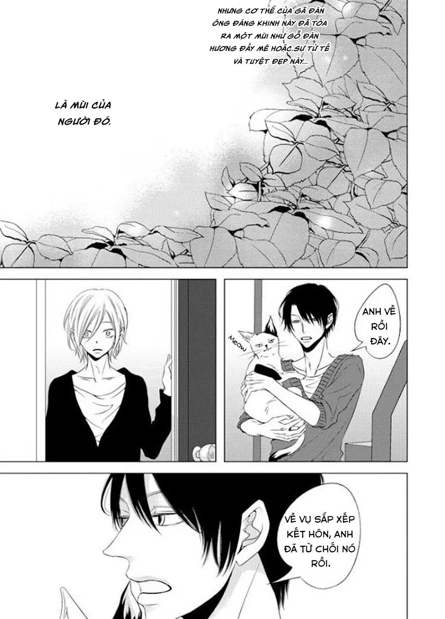 Hana to Junketsu Chapter 5 Trang 35