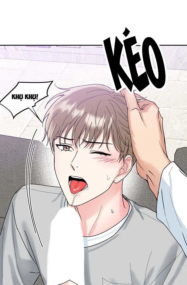 HANG CỌP (ABO) Chapter 4 Trang 25