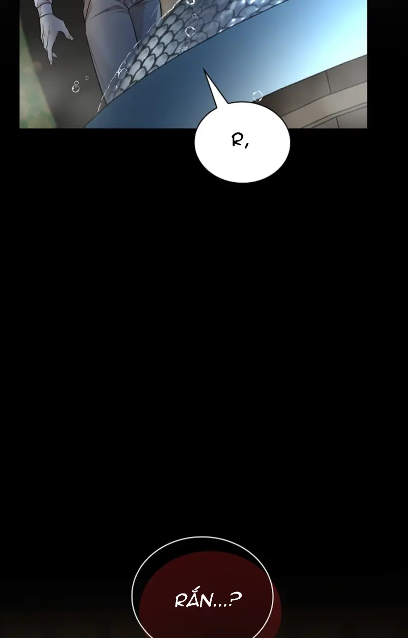 HANG RẮN Chapter 11 Trang 95