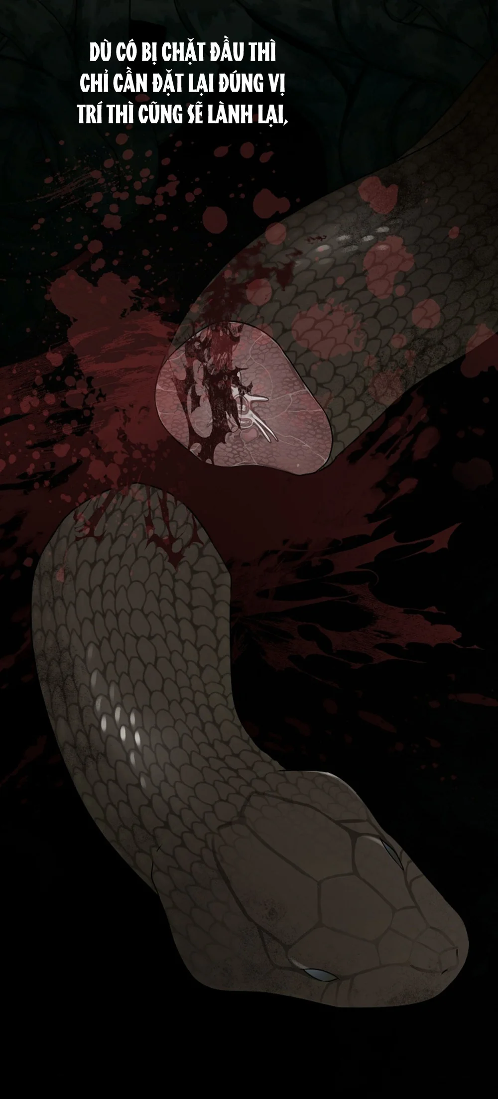 HANG RẮN Chapter 15 Trang 3