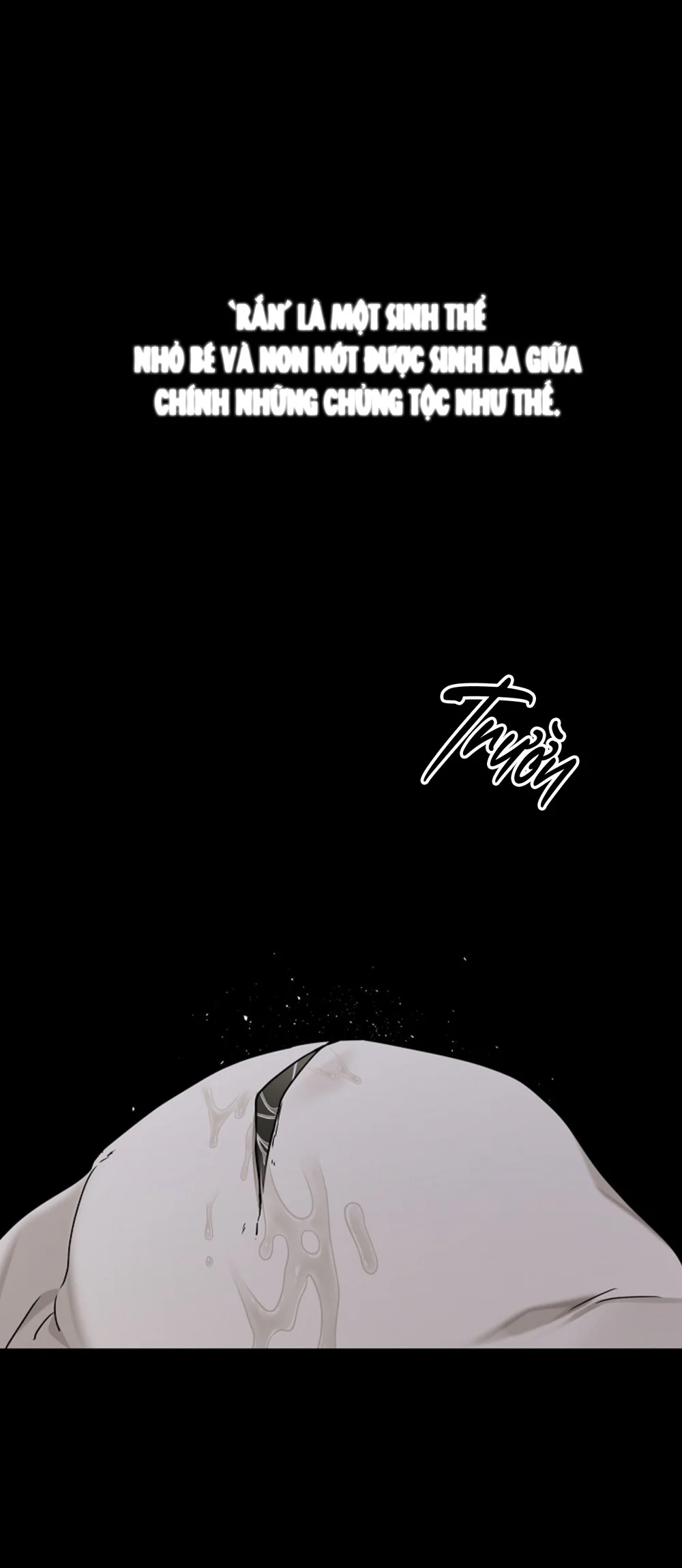 HANG RẮN Chapter 15 Trang 10