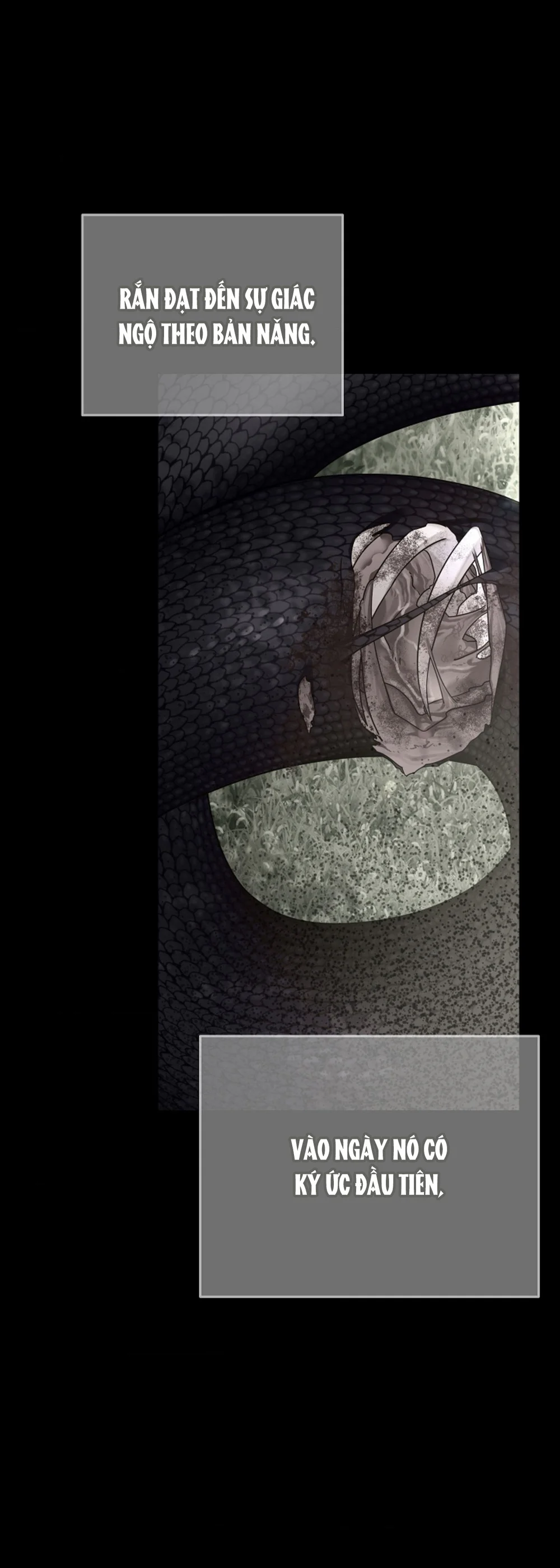 HANG RẮN Chapter 15 Trang 17