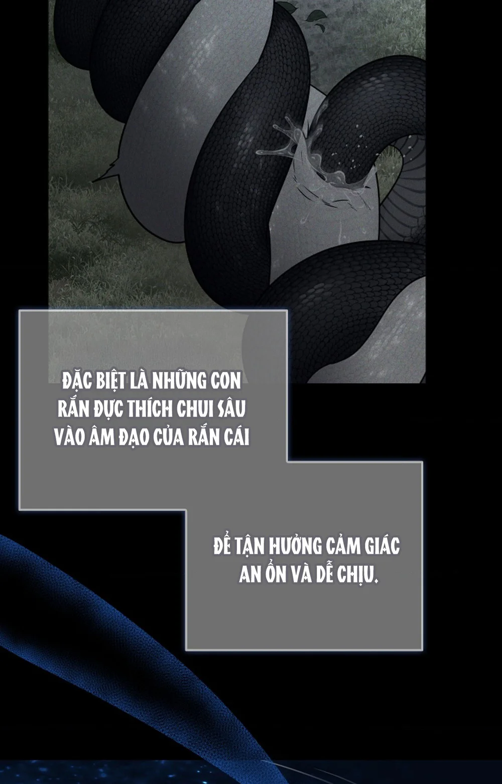 HANG RẮN Chapter 16 Trang 63