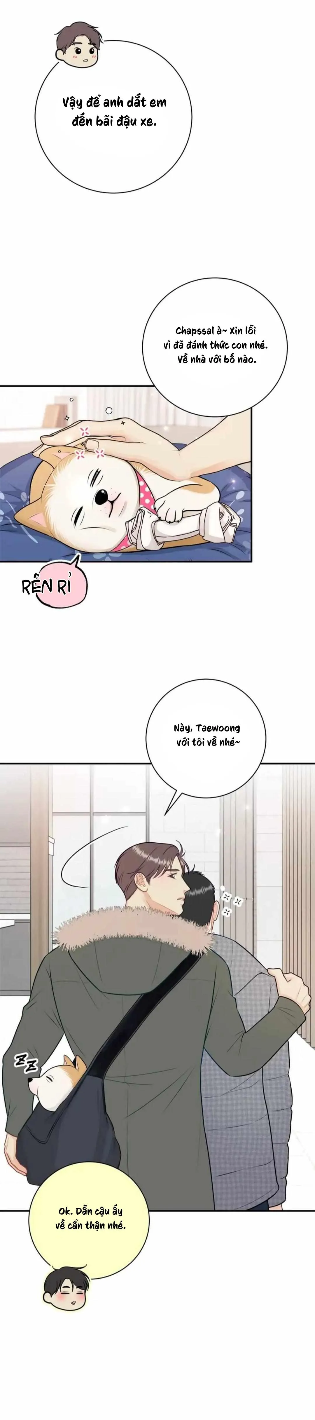 Hạnh Phúc Trọn Vẹn Chapter 46 Trang 11