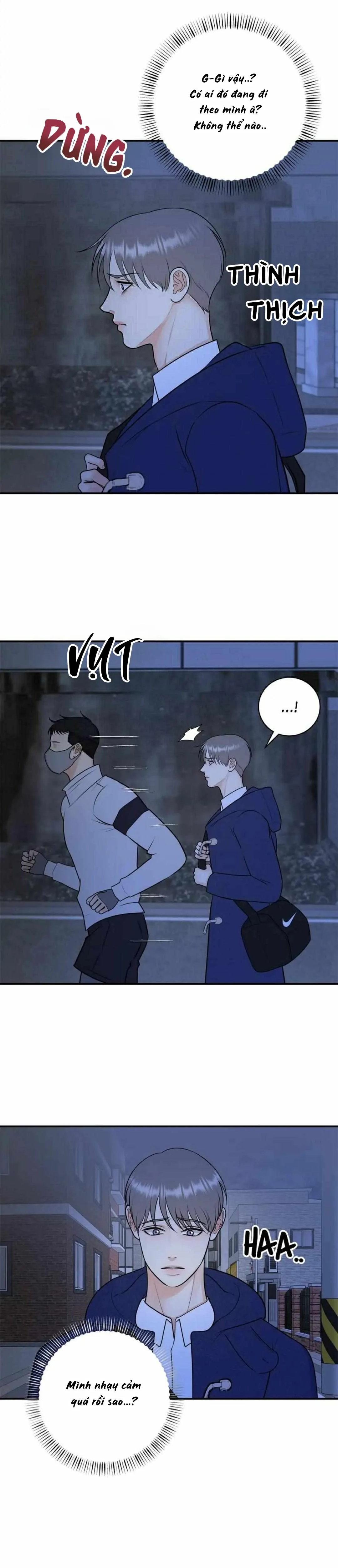 Hạnh Phúc Trọn Vẹn Chapter 49 Trang 17