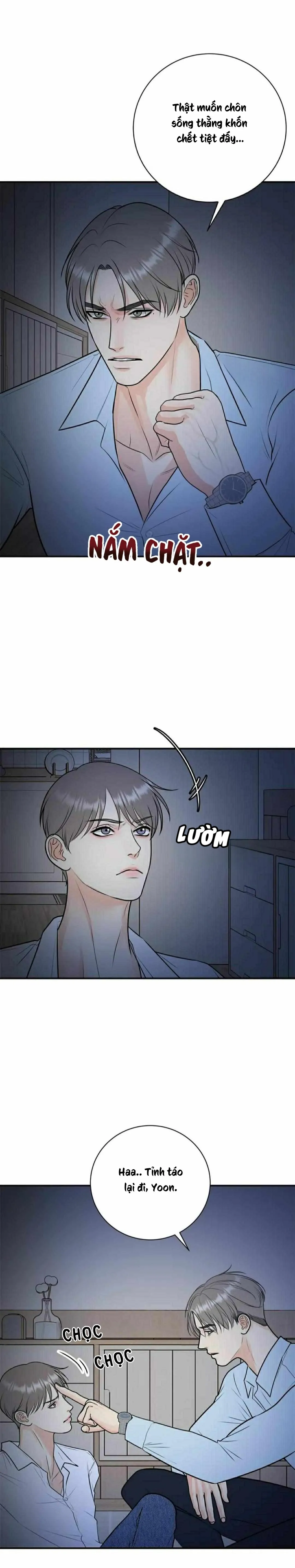 Hạnh Phúc Trọn Vẹn Chapter 50 Trang 3