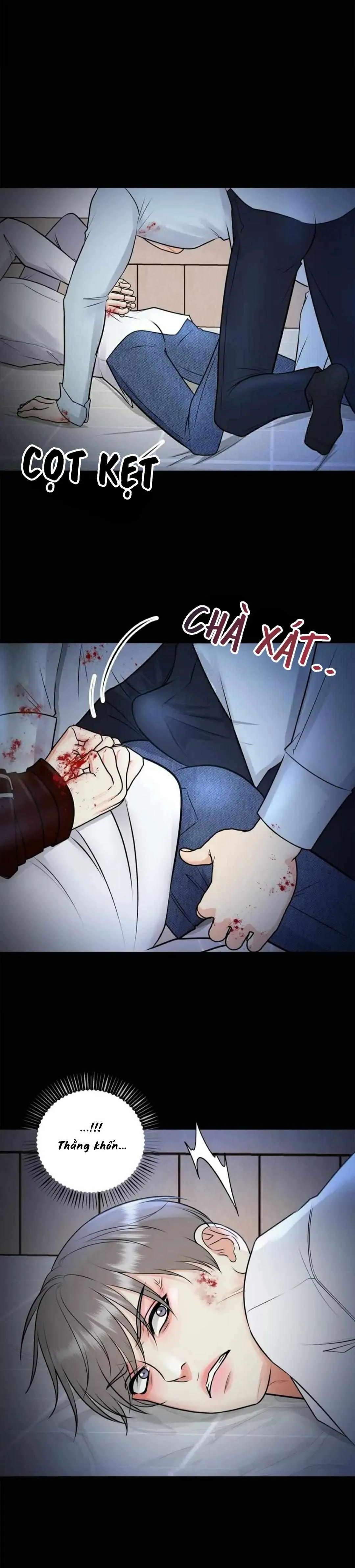 Hạnh Phúc Trọn Vẹn Chapter 50 Trang 20