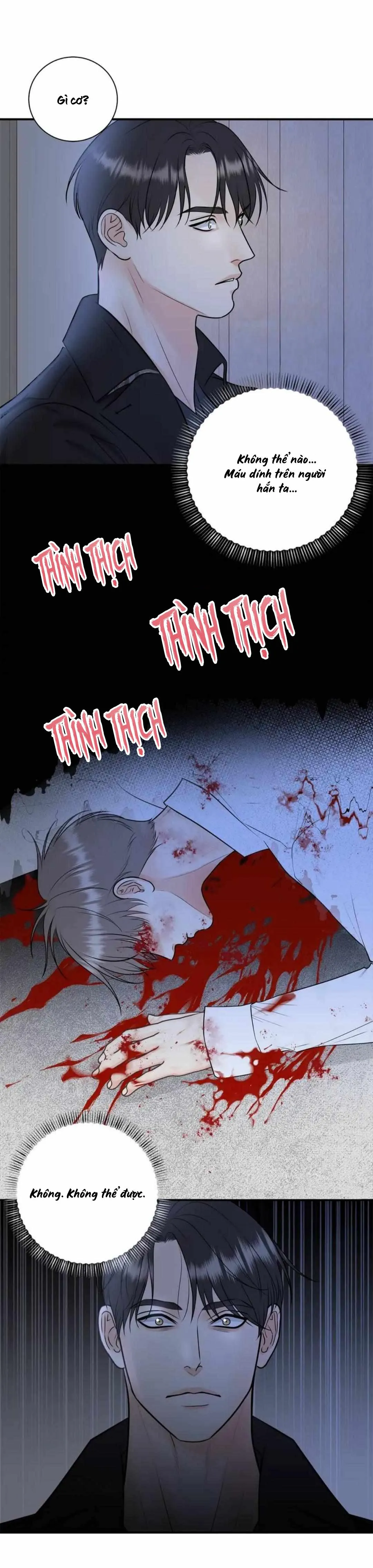 Hạnh Phúc Trọn Vẹn Chapter 51 Trang 13