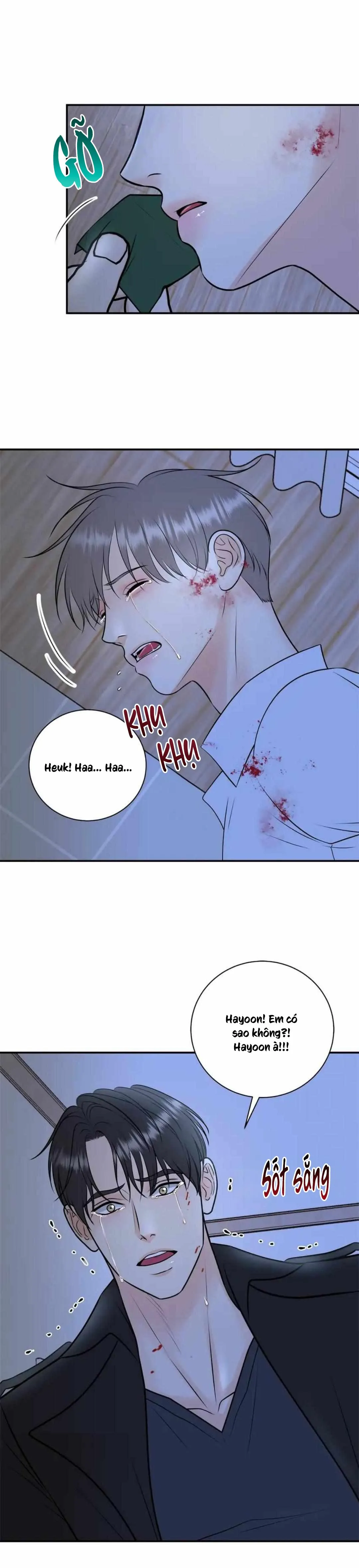 Hạnh Phúc Trọn Vẹn Chapter 51 Trang 21