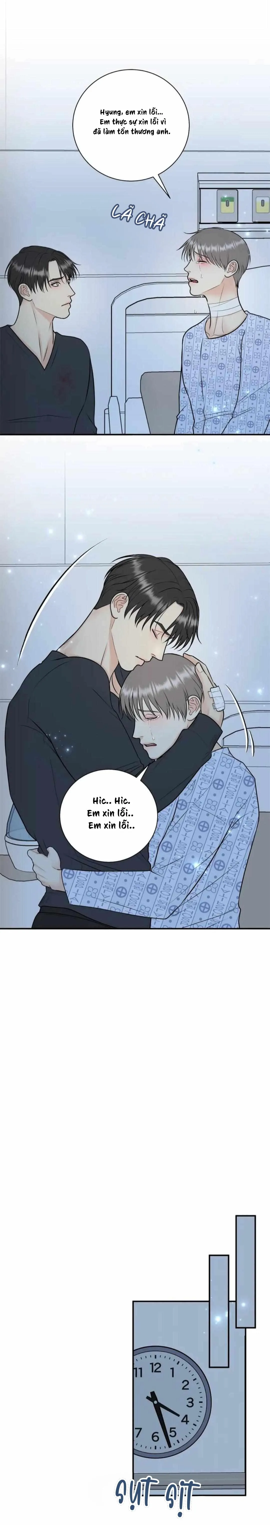 Hạnh Phúc Trọn Vẹn Chapter 52 Trang 12